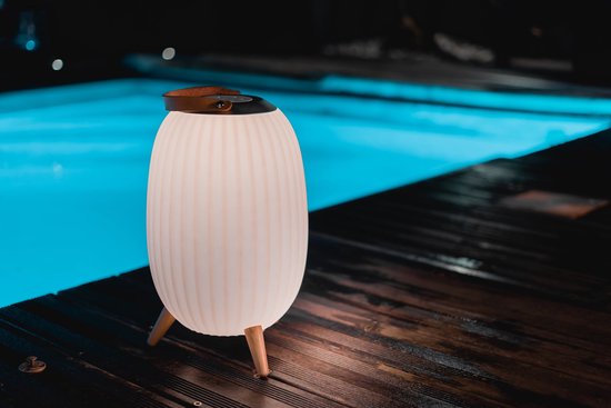 EZI Light - Ambiant Large - Bluetooth Speaker - Speaker 60W - IP65 - 40cm - Luidspreker en Tuinverlichting - Buitenverlichting - LED Multicolor - Beige/wit - Plastic/hout/leer