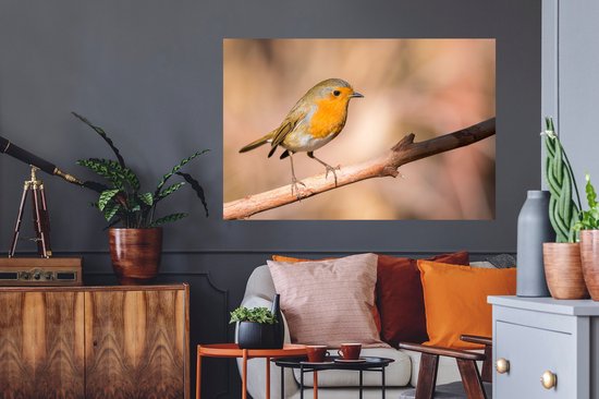 Stickers muraux - Vogel - Branche - Rouge-gorge - 120x80 cm - Feuille adhésive