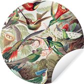 WallCircle - Muurstickers - Behangcirkel - Kolibrie - Vintage - Ernst Haeckel - Vogel - Kunst - Natuur - 80x80 cm - Muurcirkel - Zelfklevend - Ronde Behangsticker