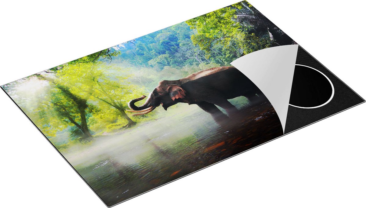Chefcare Inductie Beschermer Olifant in het Water - 75x50 cm - Afdekplaat Inductie - Kookplaat Beschermer - Inductie Mat