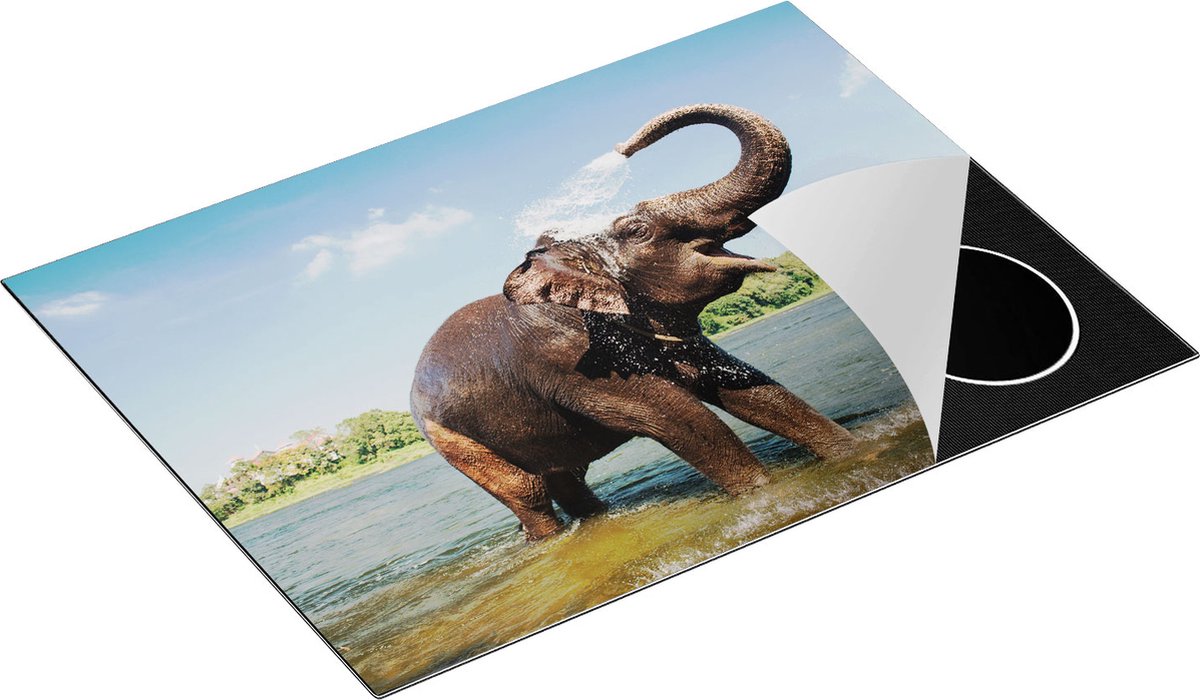 Chefcare Inductie Beschermer Vrolijke Olifant in het Water - 70x52 cm - Afdekplaat Inductie - Kookplaat Beschermer - Inductie Mat