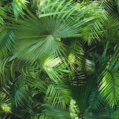 Natuur behang Profhome 362001-GU vliesbehang glad in jungle stijl mat groen 5,33 m2