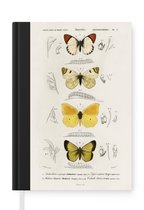 Notitieboek - Schrijfboek - Vlinder - Vintage - Insecten - Notitieboekje klein - A5 formaat - Schrijfblok
