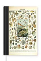 Notitieboek - Schrijfboek - Zeedieren - Schelp - Vintage - Zee - Adolphe Millot - Notitieboekje klein - A5 formaat - Schrijfblok
