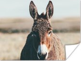 Affiche Âne - Portrait - Animal - 160x120 cm XXL