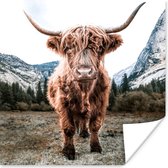 Affiche Highlander écossais - Berg - Animaux - 30x30 cm