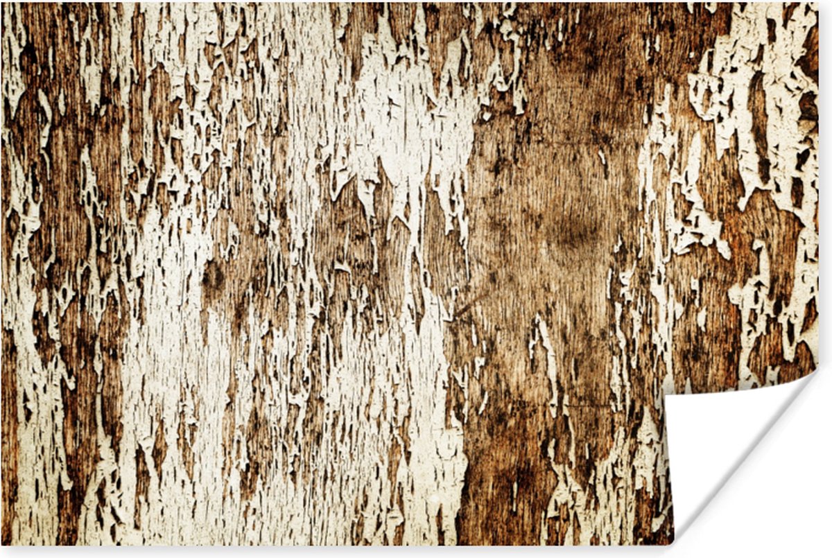 Poster Hout - Rustiek - Boom - 60x40 cm