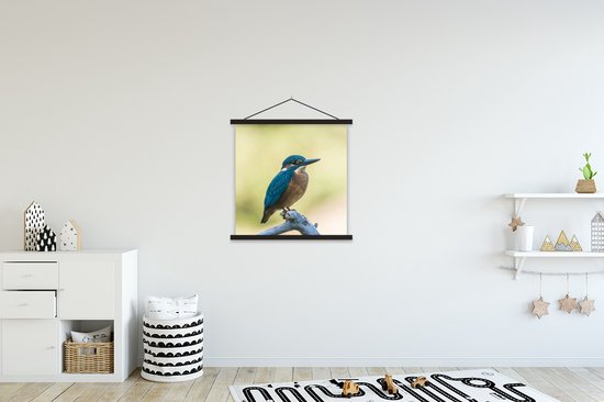 Porte-affiche avec affiche - Affiche scolaire - Martin-pêcheur - Branche - Vogel - 60x60 cm - Lattes noires