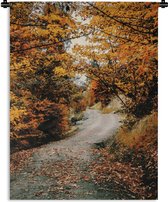 Tapisserie - Tapisserie - Forêt d'automne - Chemin - Feuilles - Rural - 150x200 cm - Tapisserie