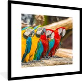 Cadre photo avec affiche - Vogels - Perroquet - Tropical - Nature - 40x40 cm - Cadre pour affiche