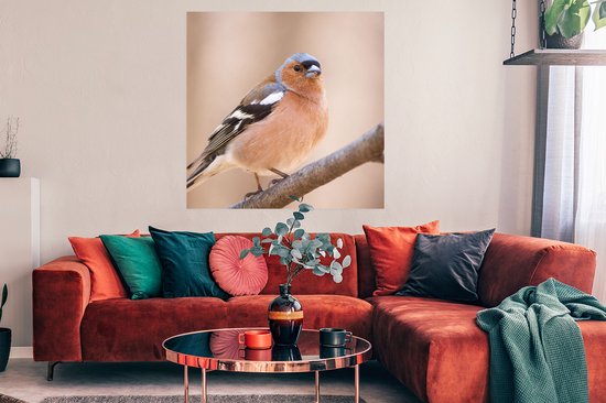 Vink met oranje borst, witte vleugelstrepen en grijze kop zittend op een tak.
