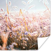 Poster Gras - Zon - Winter - Sneeuw - 75x75 cm