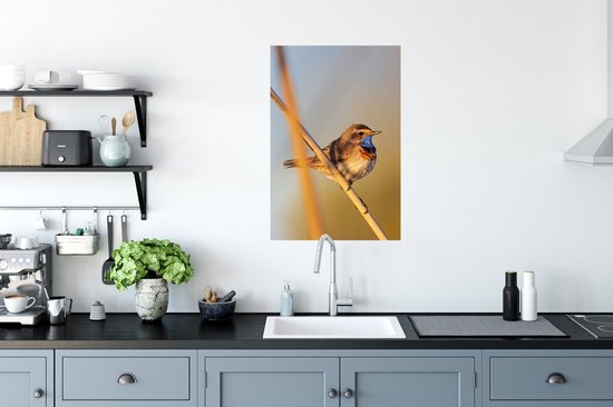 Affiche Vogels - Gorgebleue à miroir - Roseau - 60x90 cm