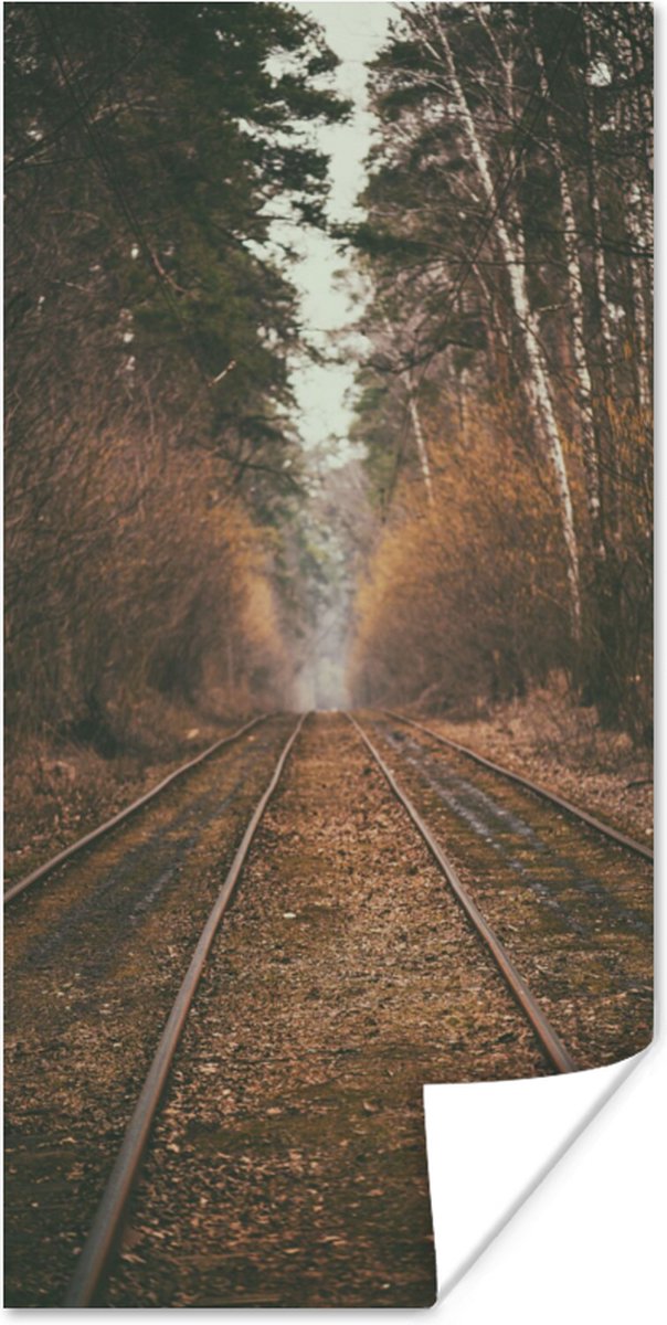 Poster Treinspoor - Pad - Bos - Boom - 40x80 cm