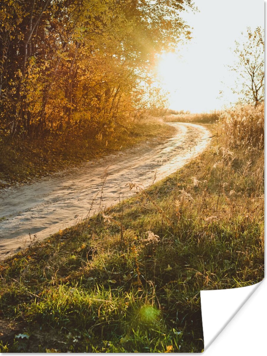 Poster Pad - Natuur - Boom - 90x120 cm
