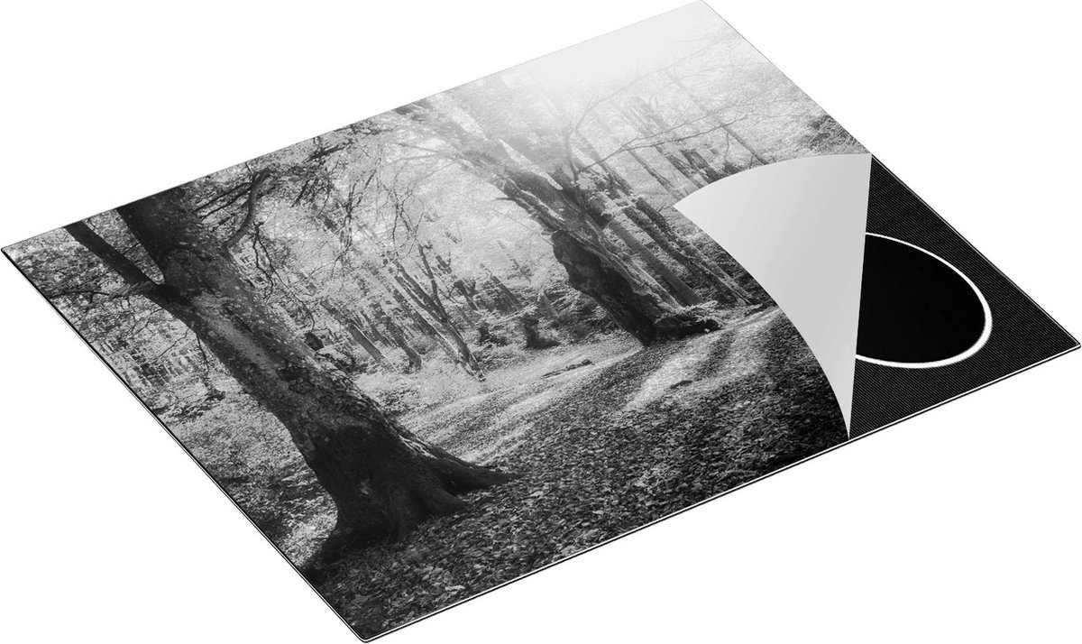 Chefcare Inductie Beschermer Oranje Herfstbos met Zonneschijn - Zwart Wit - 65x55 cm - Afdekplaat Inductie - Kookplaat Beschermer - Inductie Mat