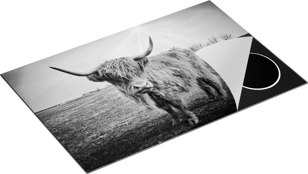 Chefcare Inductie Beschermer Bruine Schotse Hooglander Koe - Kleur - Zwart Wit - 80x50 cm - Afdekplaat Inductie - Kookplaat Beschermer - Inductie Mat