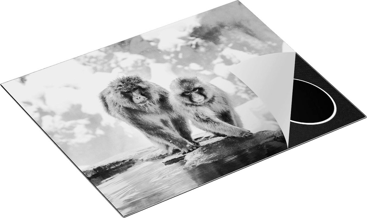 Chefcare Inductie Beschermer Twee Aapjes in de Sneeuw op Rotsen - Zwart Wit - 65x52 cm - Afdekplaat Inductie - Kookplaat Beschermer - Inductie Mat