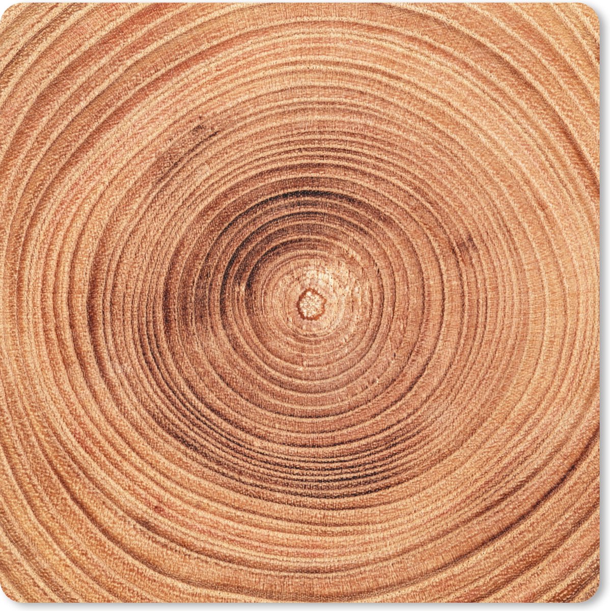 Muismat XXL 60x60 cm - Bureau onderlegger - Bureau mat Een close up van de boomringen van een boomstam - Bureaumat - Gaming mousepad xl - Bureaulegger groot - Computer deskmat