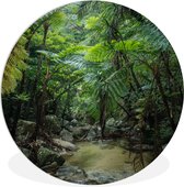 WallCircle - Schilderij - Riviertje In Tropische Jungle - Multicolor - 90 X 90 Cm