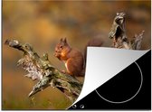 KitchenYeah® Inductie beschermer 71x52 cm - Eekhoorn - Boomstam - Bos - Kookplaataccessoires - Afdekplaat voor kookplaat - Inductiebeschermer - Inductiemat - Inductieplaat mat