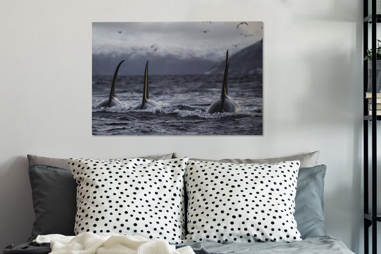 Tableau sur toile Trois Orques - 90x60 cm - Décoration murale