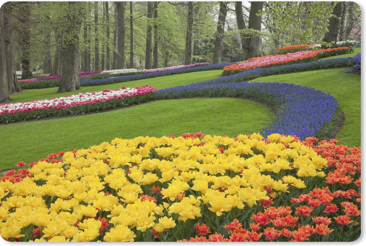 Muismat XXL 120x80 cm - Bureau onderlegger - Bureau mat Bloemen in het gras in de Keukenhof in Holland. - Bureaumat - Gaming mousepad xl - Bureaulegger groot - Computer deskmat