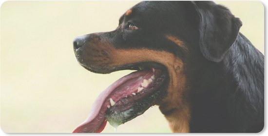 Muismat XXL - Bureau onderlegger - Bureau mat - Zijaanzicht van een Rottweiler met de tong uit de mond - 90x45 cm - XXL muismat