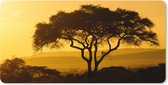 Muismat XXL - Bureau onderlegger - Bureau mat - Gele lucht boven het Nationaal park Serengeti in Tanzania - 120x60 cm - XXL muismat