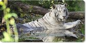 Muismat XXL - Bureau onderlegger - Bureau mat - Witte tijger in het water - 90x45 cm - XXL muismat