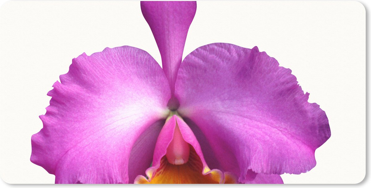 Muismat XXL 80x40 cm - Bureau onderlegger - Bureau mat Close-up Orchidee - Bureaumat - Gaming mousepad xl - Bureaulegger groot - Computer deskmat