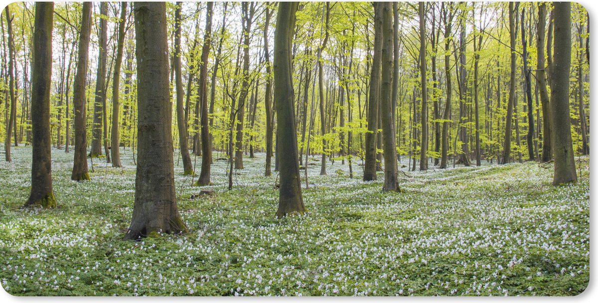 Muismat XXL 100x50 cm - Bureau onderlegger - Bureau mat Bomen - Bloemen - Lente - Bureaumat - Gaming mousepad xl - Bureaulegger groot - Computer deskmat