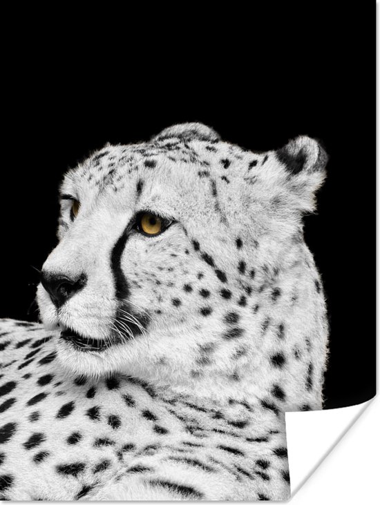 Luipaard zwart-wit Poster 120x160 cm - Foto print op Poster (wanddecoratie woonkamer / slaapkamer) / Wilde dieren Poster XXL / Groot formaat!