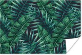 Poster Bladeren - Tropisch - Jungle - Natuur - 90x60 cm