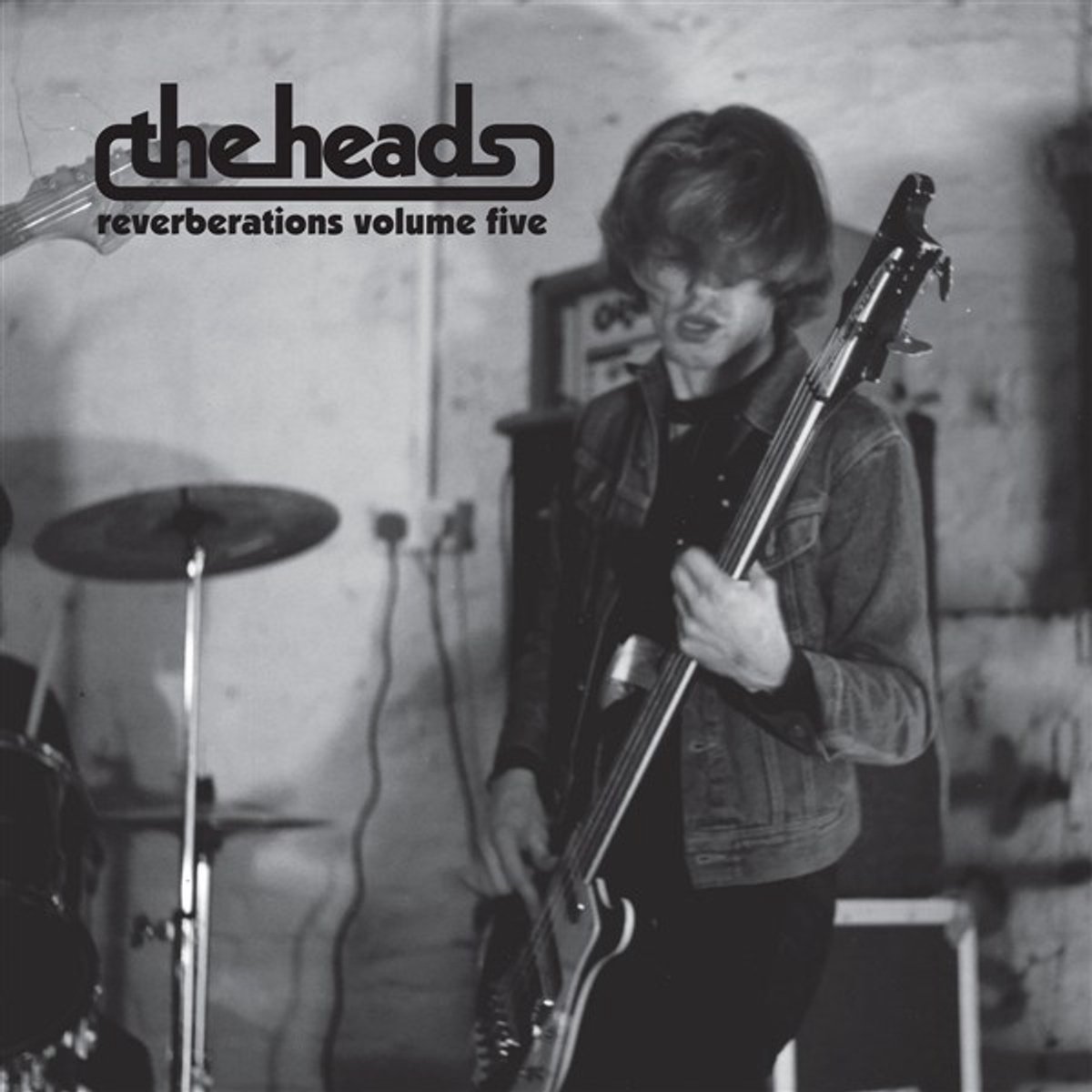 The Heads - Reverberations Vol. 5 (LP) (Mixed)