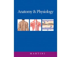 Anatomy & Physiology