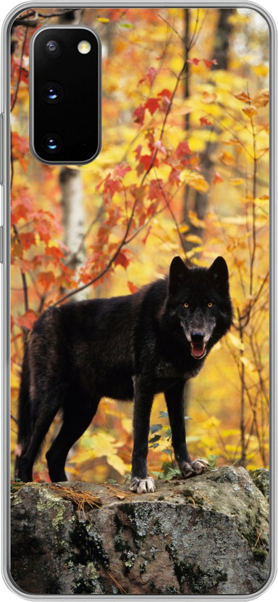 Telefoonhoesje Geschikt voor Samsung Galaxy S20 hoesje - Wolf - Rots - Boom - Siliconen Telefoonhoesje Telefoonhoesje