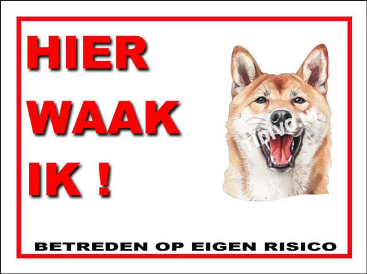 Kishu 3
