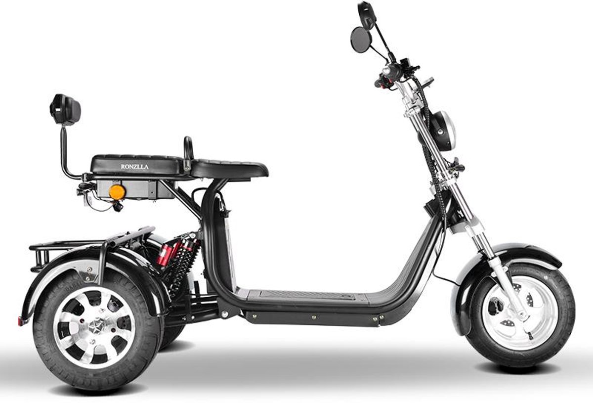 Eco Wielen E-Trike – Elektrische driewielscooter voor 2 personen – 2000 W – Uitneembare accu 20 Ah – Achteruitrijfunctie – foto 5