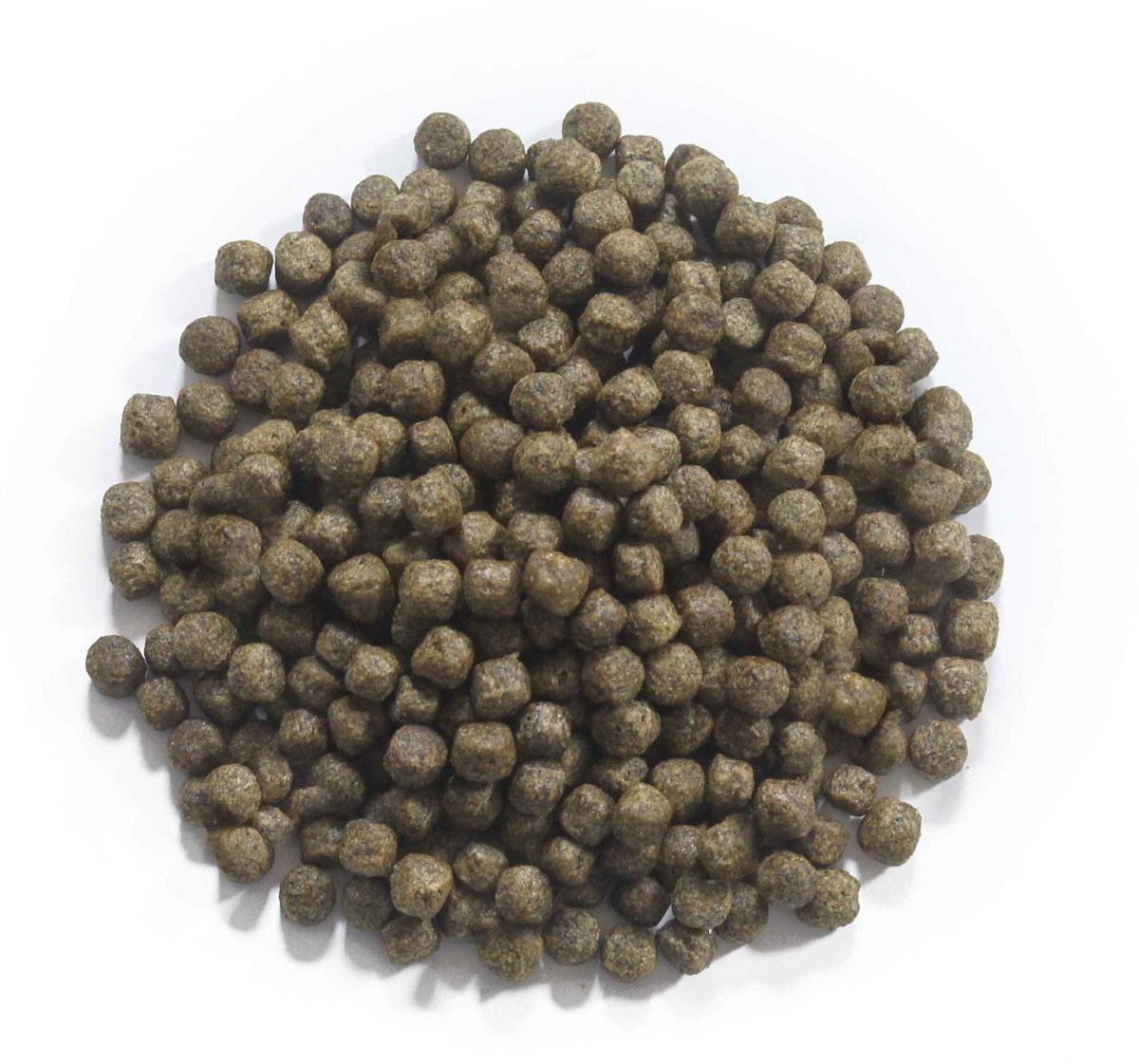 Koivoer Staple 6 mm 15 kg