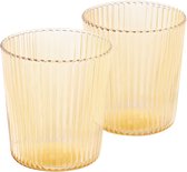 Paveau Cable Ribbed Waterglazen - 2 Stuks - Duurzaam Borosilicaatglas