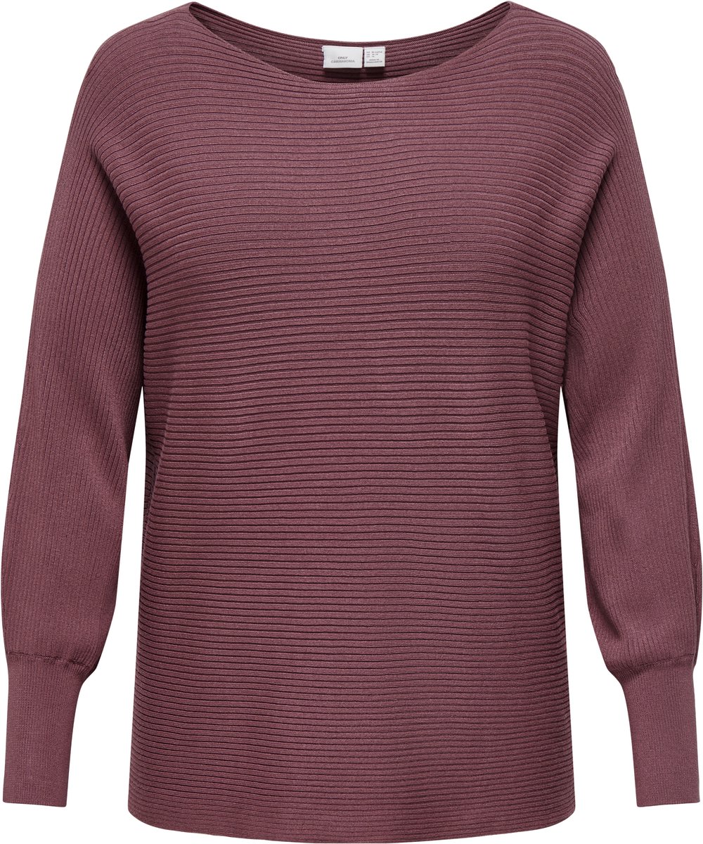 ONLY CARMAKOMA - CARNEW ADALINE LIFE LS PULLOVER KNT NOOS - Dames - Gebreide truien