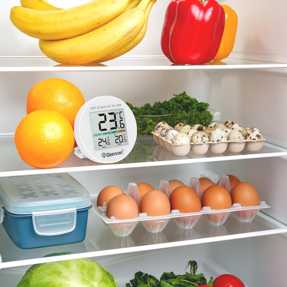 Thermomètre Réfrigérateur Numérique Geevon - 2 Capteurs - Alarme Max/Min - Sans Fil - Pour Congélateur Et Frigo