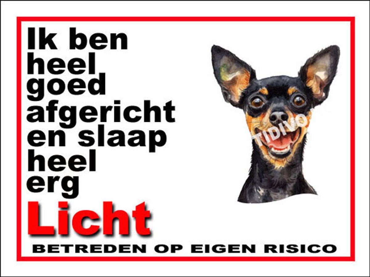 Engelse Toy Terrier 4