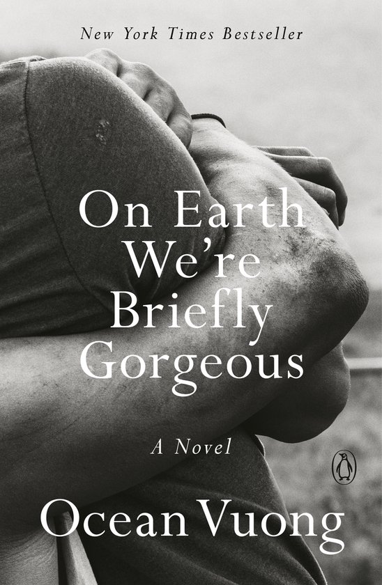 On Earth We're Briefly Gorgeous - cover