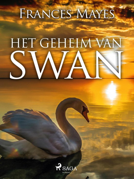 Het geheim van Swan - cover