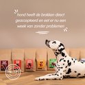 Een dalmatiër ligt op een tafel met op de achtergrond meerdere Spark hondenvoer zakken. Een tekstballon zegt: 'hond heeft de brokken direct geaccepteerd'.
