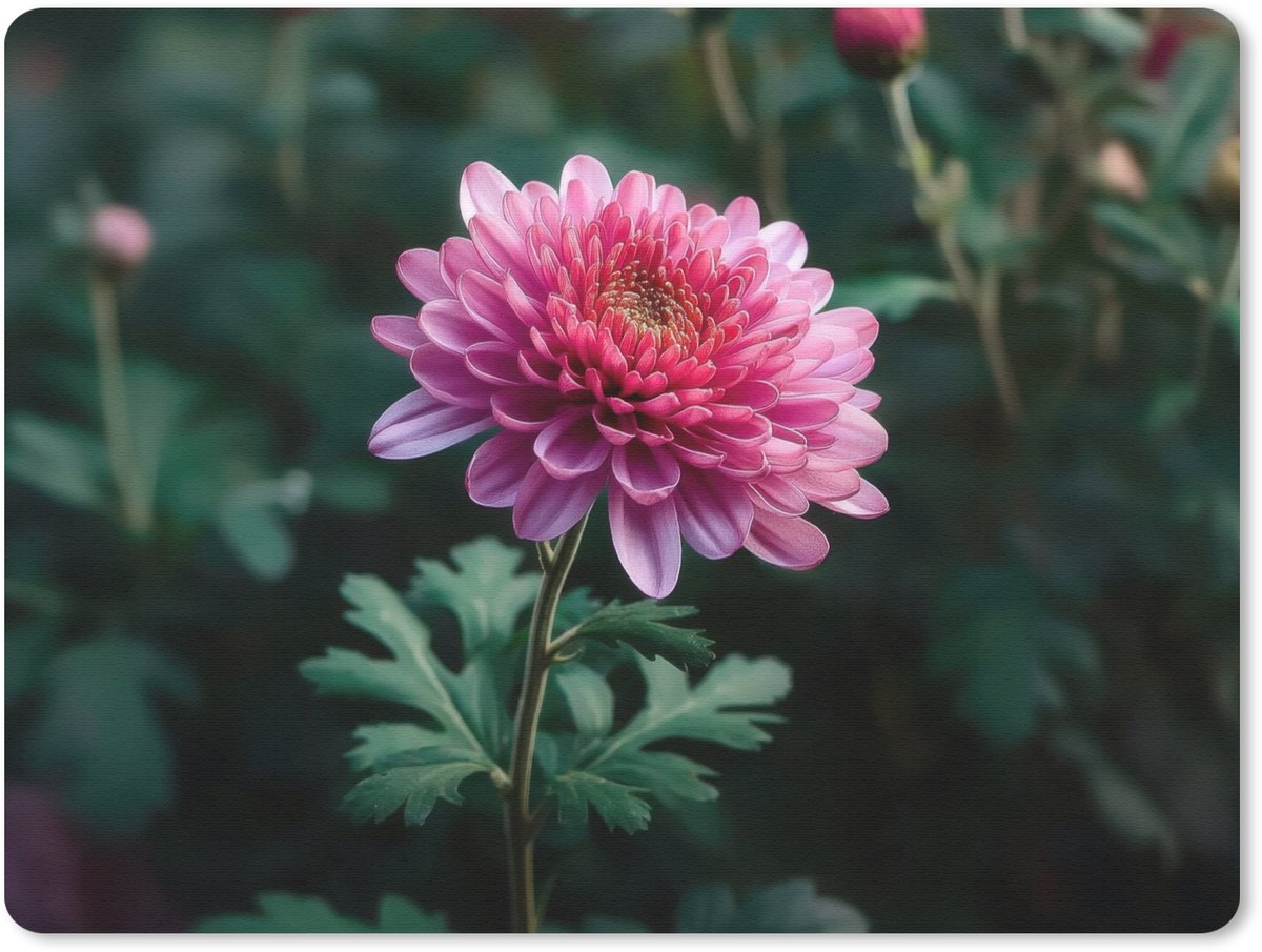 Muismat 23x19 cm - Mousepad Blad - Chrysant - Roze - Schaduw - Muismatten