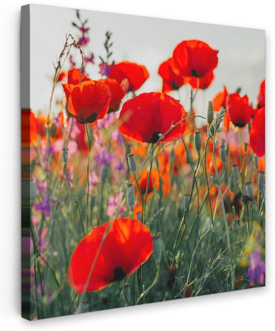 Tuinschilderij voor buiten 90x90 cm - Tuindecoratie Klaproos - Bloemen - Rood - Paars - Weide - Tuinposter op canvas - Tuin muurdecoratie - Buitenschilderij decoratie - Schutting wanddecoratie - Buitencanvas