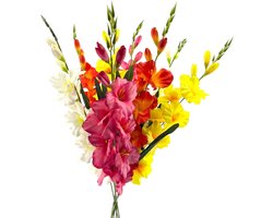Elegante Kunstgladiool – Bos van 8 Stelen in 4 Kleuren - 80 cm